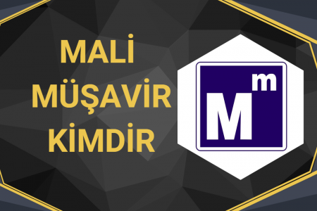 Mali Müşavir Kimdir