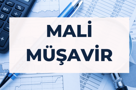 Mali Müşavir Maaşı